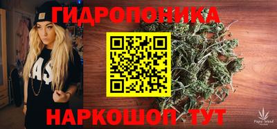 индика Малгобек