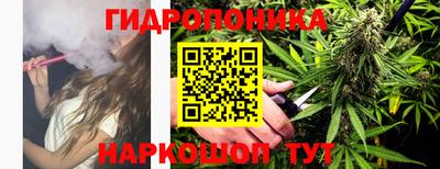 индика Малгобек
