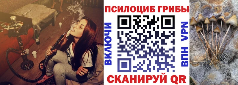 наркошоп  Советск  Псилоцибиновые грибы прущие грибы 