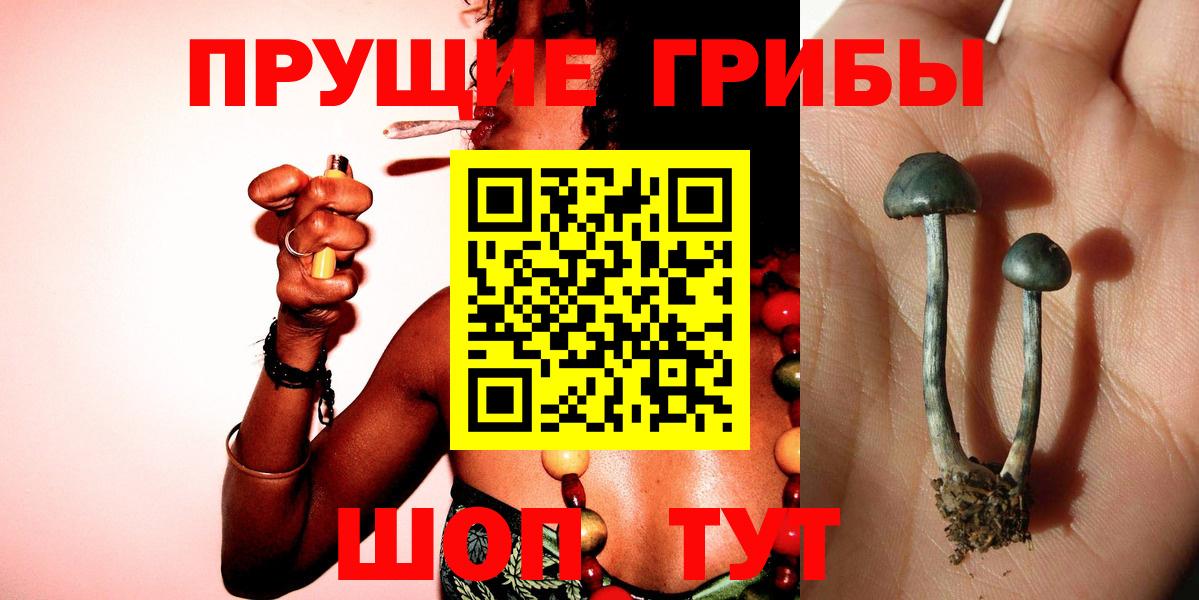 Советск  Галлюциногенные грибы GOLDEN TEACHER  Вход с VPN 